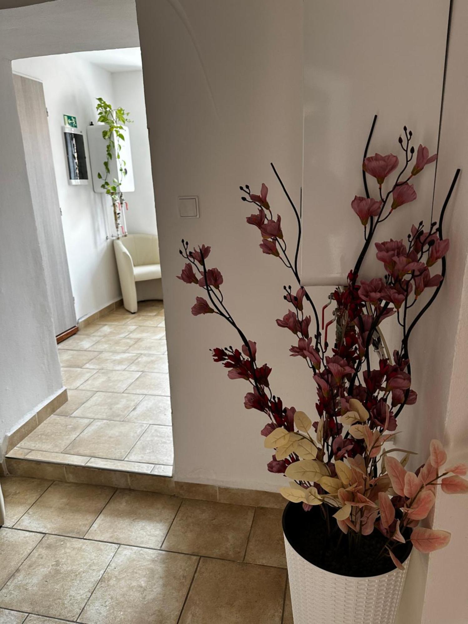 Sg Apartmanovy Dum Hořice المظهر الخارجي الصورة